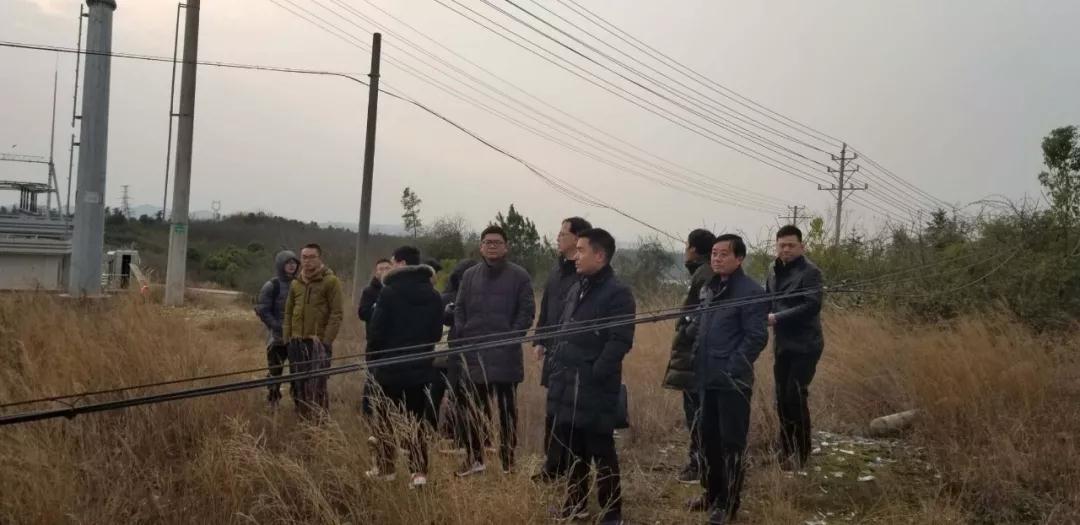 副总经理马东旭一行到金旭饲料项目现场督导推进建设工作 副总经理马东旭一行到金旭饲料项目现场督导推进建设工作