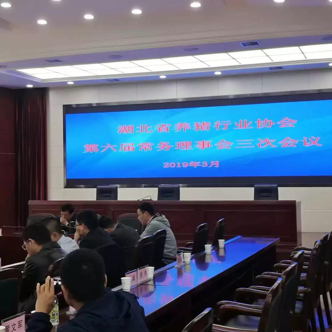 金旭农发参加第六届湖北省养猪行业协会常务理事会 金旭农发参加第六届湖北省养猪行业协会常务理事会