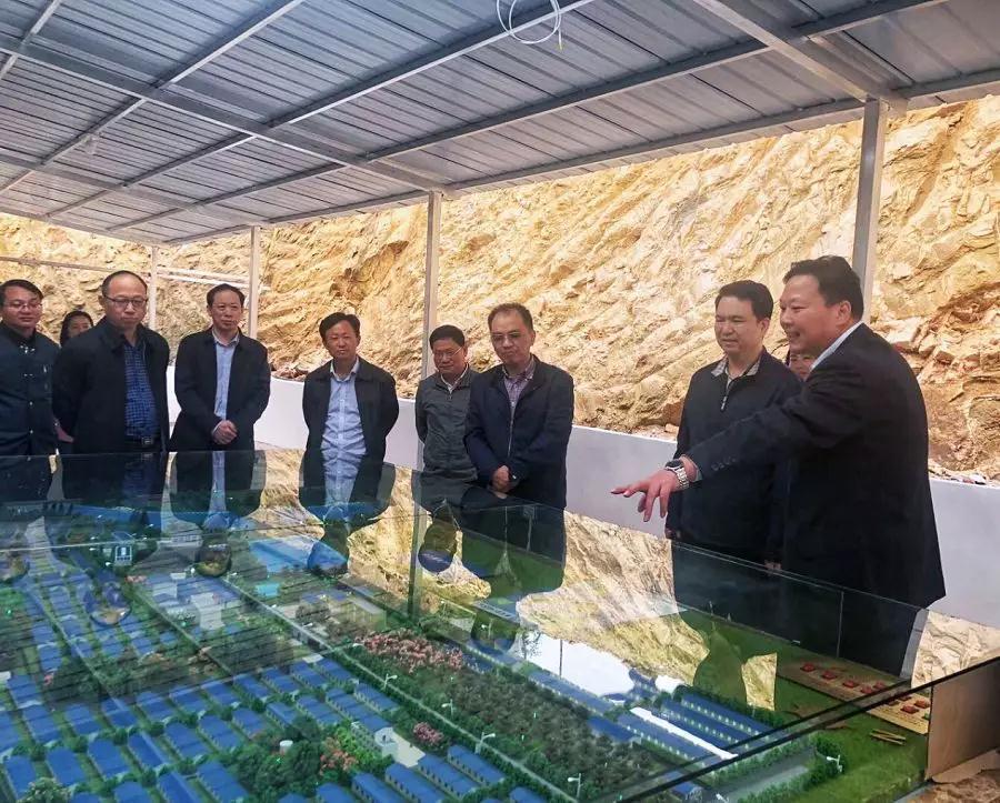 国家商务部外贸司商务参赞刘长于带队赴金旭农发长流公司调研港澳保供工作 国家商务部外贸司商务参赞刘长于带队赴金旭农发长流公司调研港澳保供工作