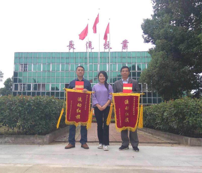 长流公司荣获金旭农发第三季度流动红旗 长流公司荣获金旭农发第三季度流动红旗