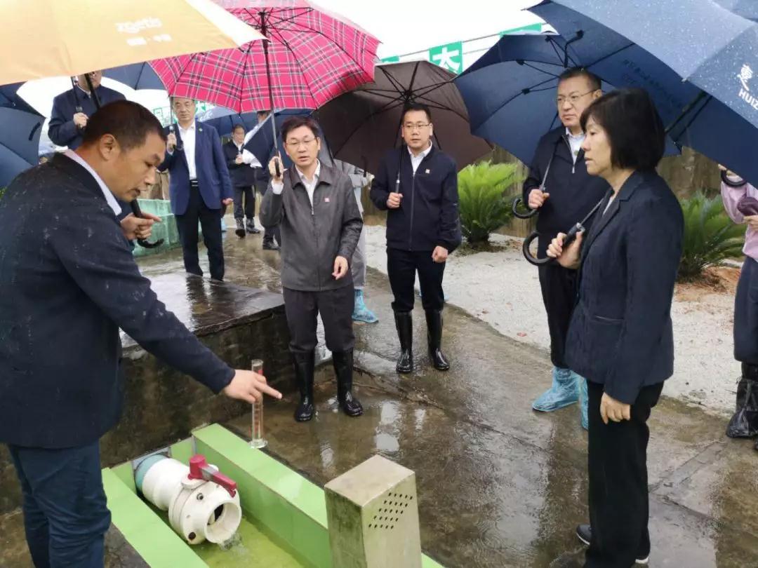 全国人大常委会副委员长沈跃跃到金旭农发泰美基地调研 全国人大常委会副委员长沈跃跃到金旭农发泰美基地调研