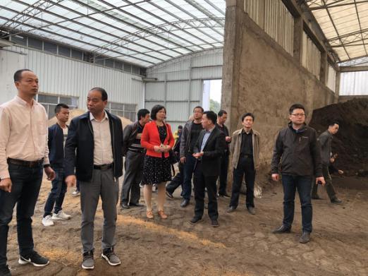 金旭农发和浠水多个政府单位到京山市兴田生物有机肥项目考察 金旭农发和浠水多个政府单位到京山市兴田生物有机肥项目考察